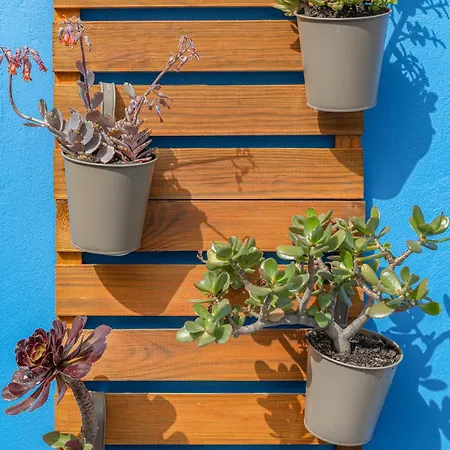 Lägenhet Casa Tamar