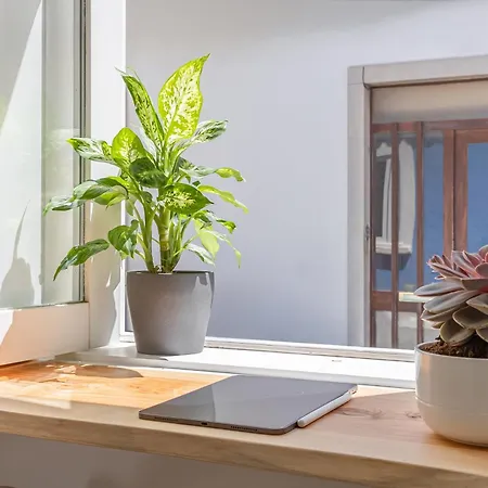 Casa Tamar Lägenhet *