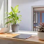Casa Tamar 아파트 *
